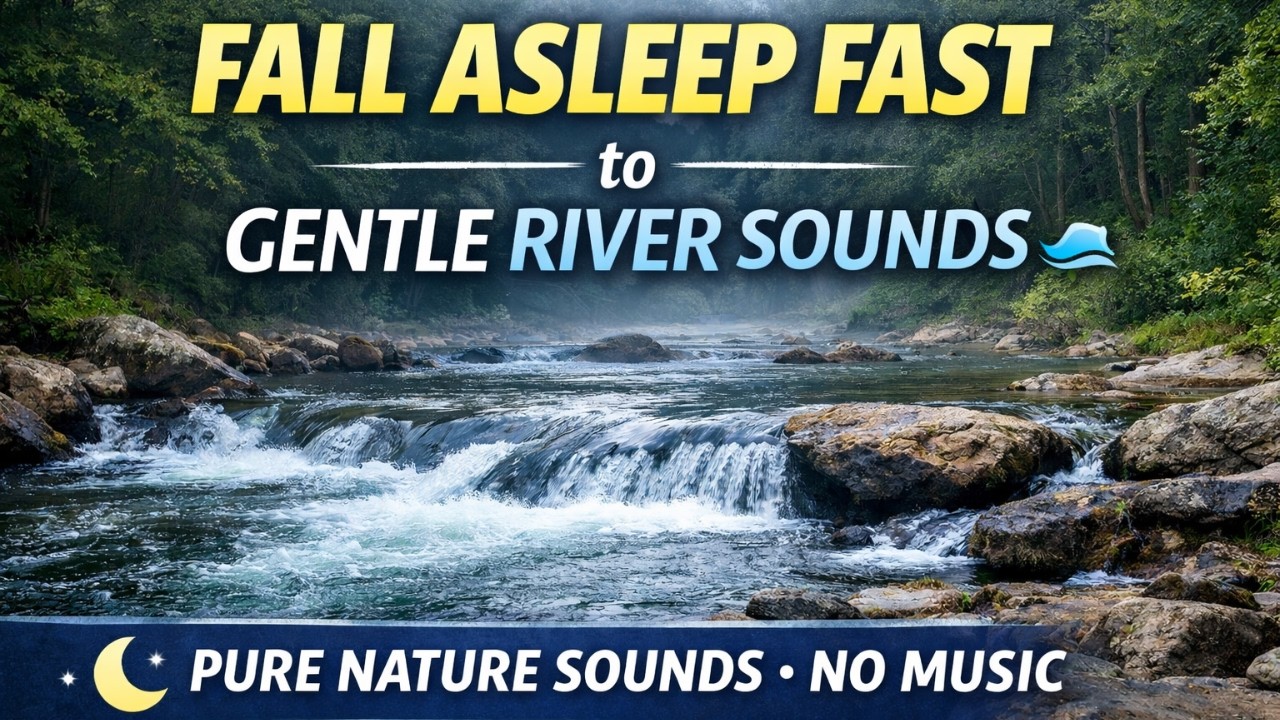 Wild Forest River 🌲 | Relaxing Water Flow for Anxiety Relief