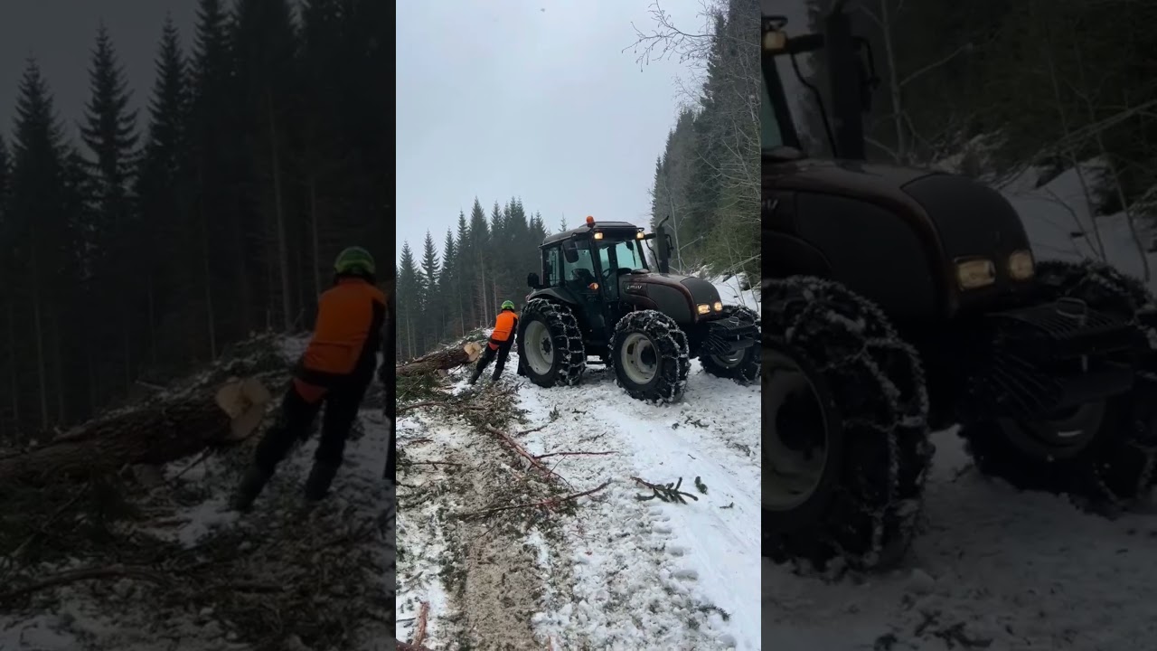 VALTRA FAIL 🚜🌲 #valtra #logging #stihl #lumberjack #fyp #norway #tractor