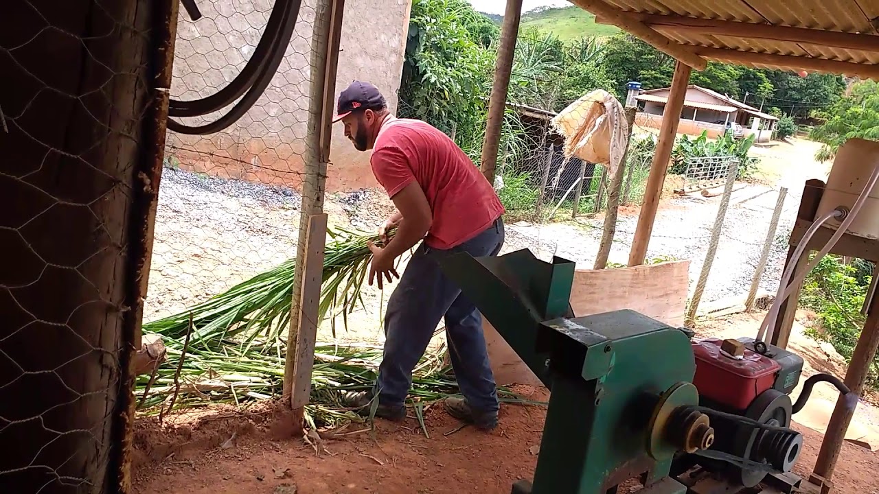 A PICADEIRA FUNCIONANDO 
