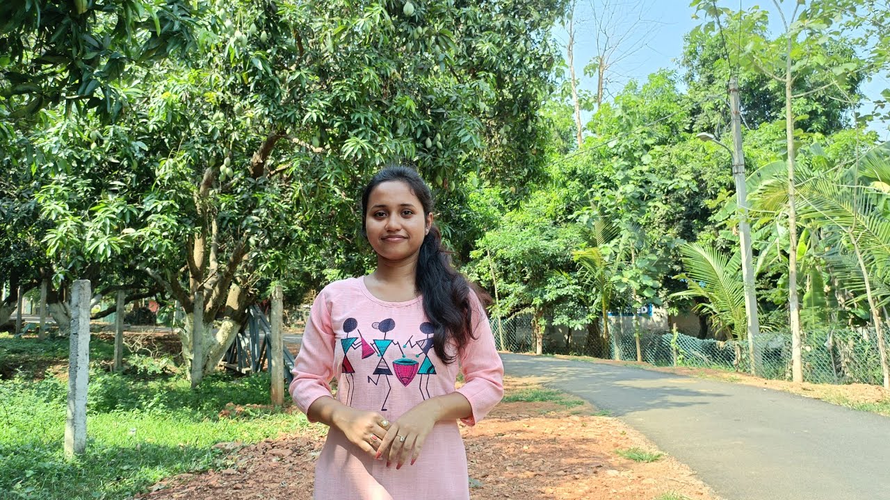 দুই টাকা পাকা আমের কেজি!! ক্ষতির মুখে কৃষকরা,ক্রেতারা খুশি।