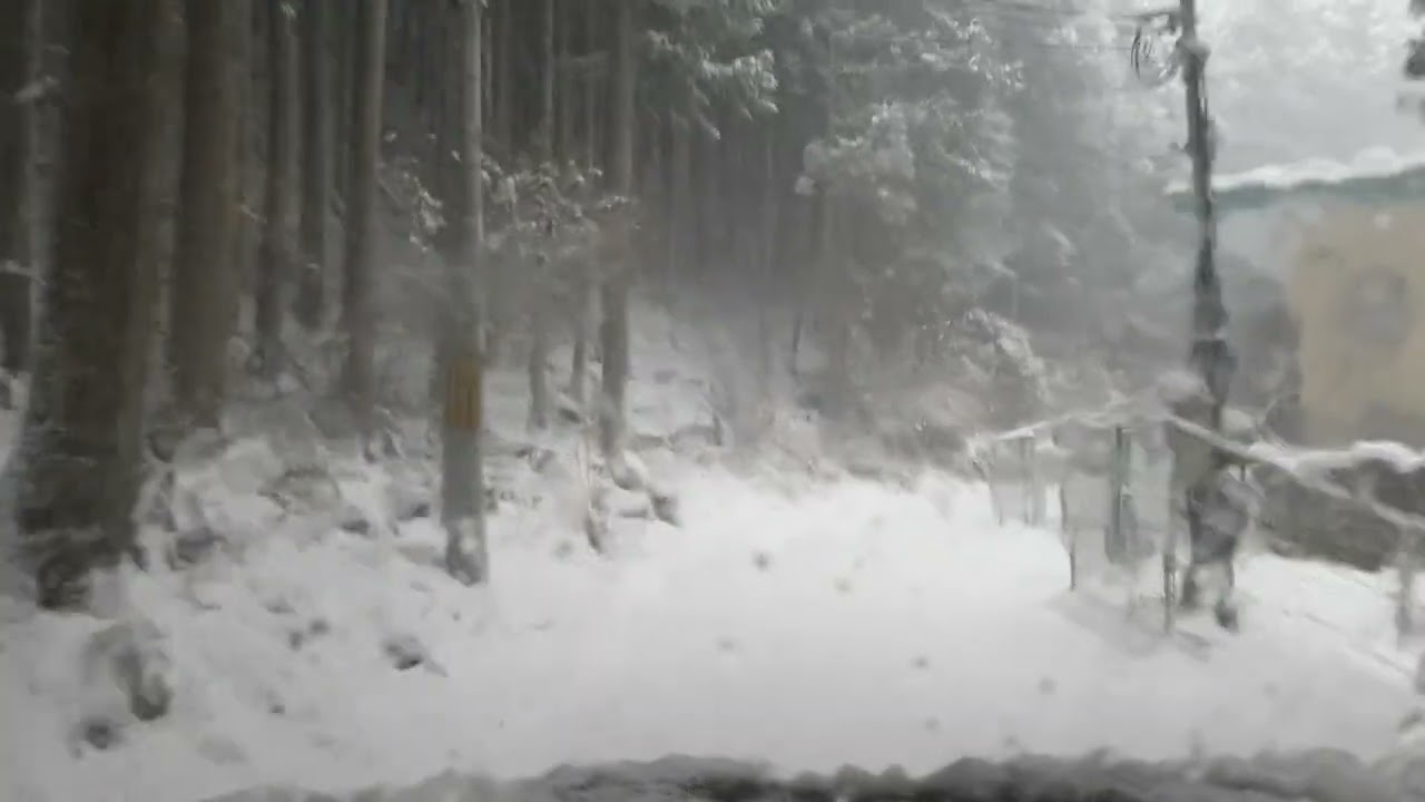 林道　雪　　　2026/2/8