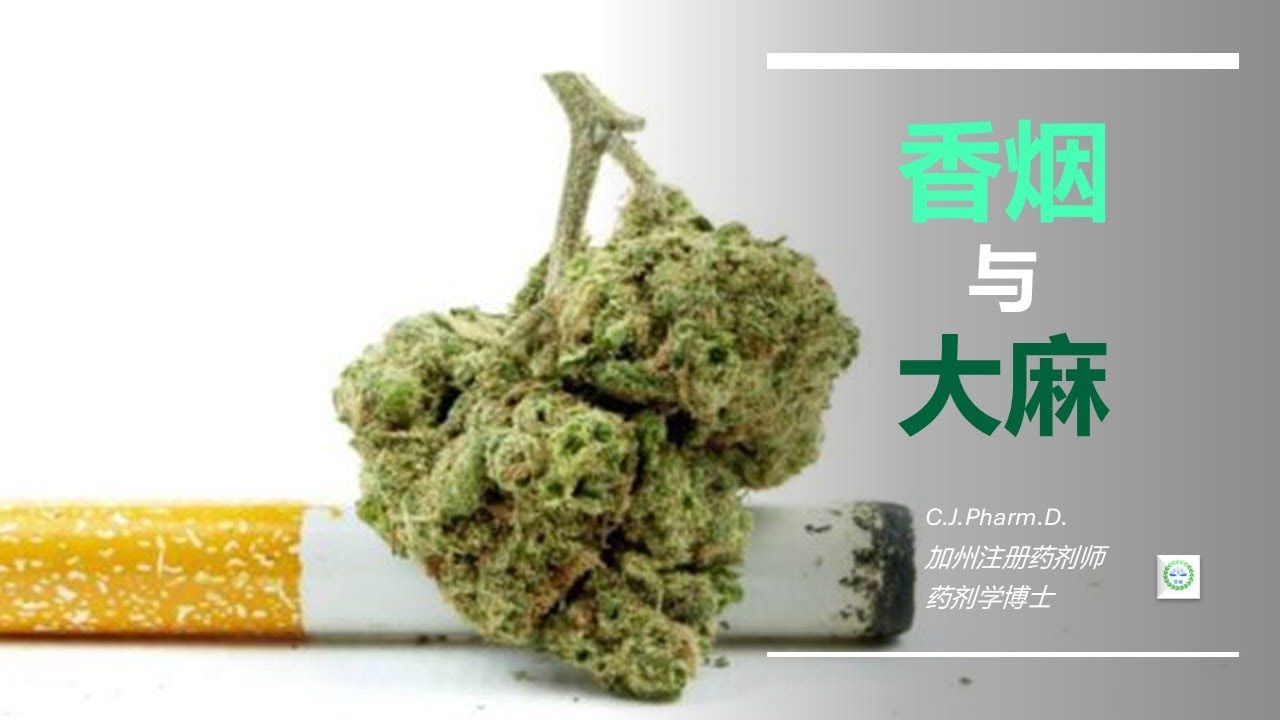 大麻和香烟，哪个对个人的危害更加大？对整个社会危害更加大？&ldquo;大麻是入门毒品&rdquo;这个说法正确吗？