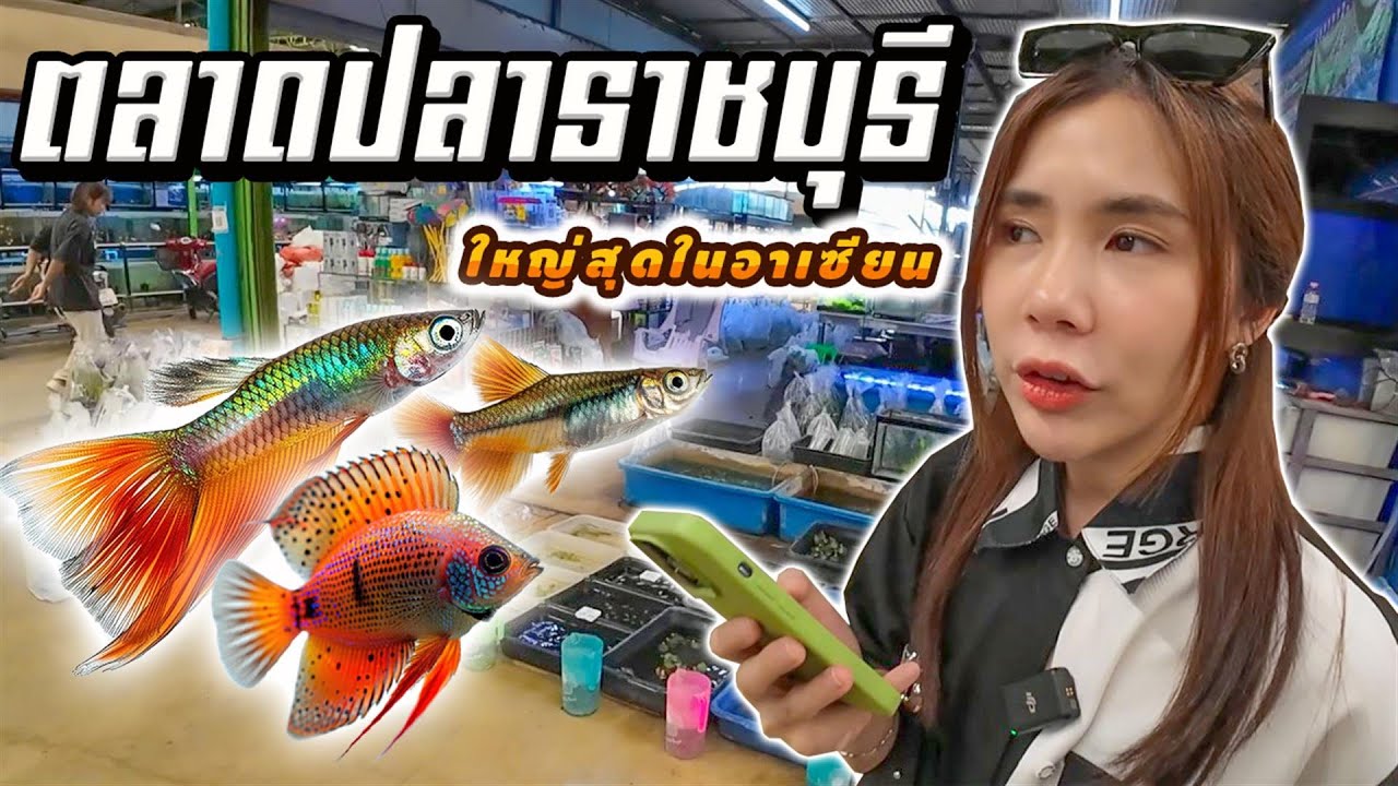 ตลาดปลาสวยงาม และสัตว์เลี้ยง ฟิชวิลเลจราชบุรี