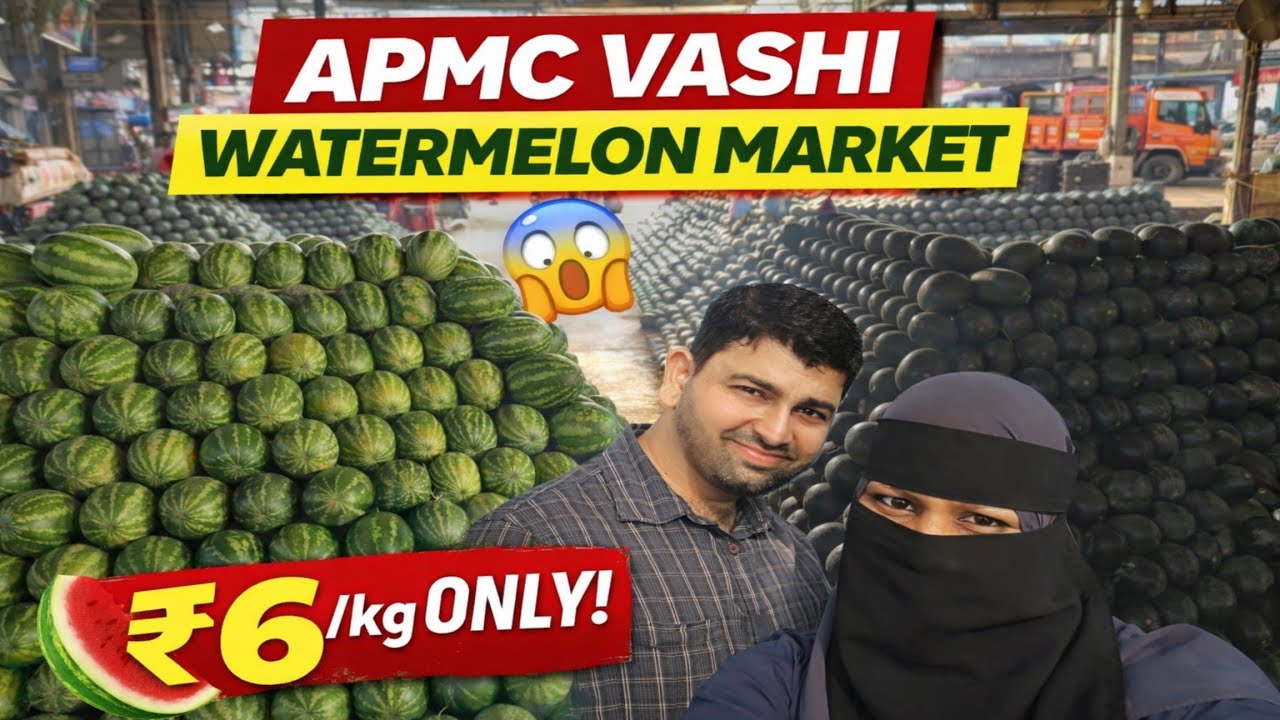 ₹6 Kg Watermelon APMC Market | Vashi Fruit APMC Market | APMC Fruit Market | Sasta Fruit Market | 
