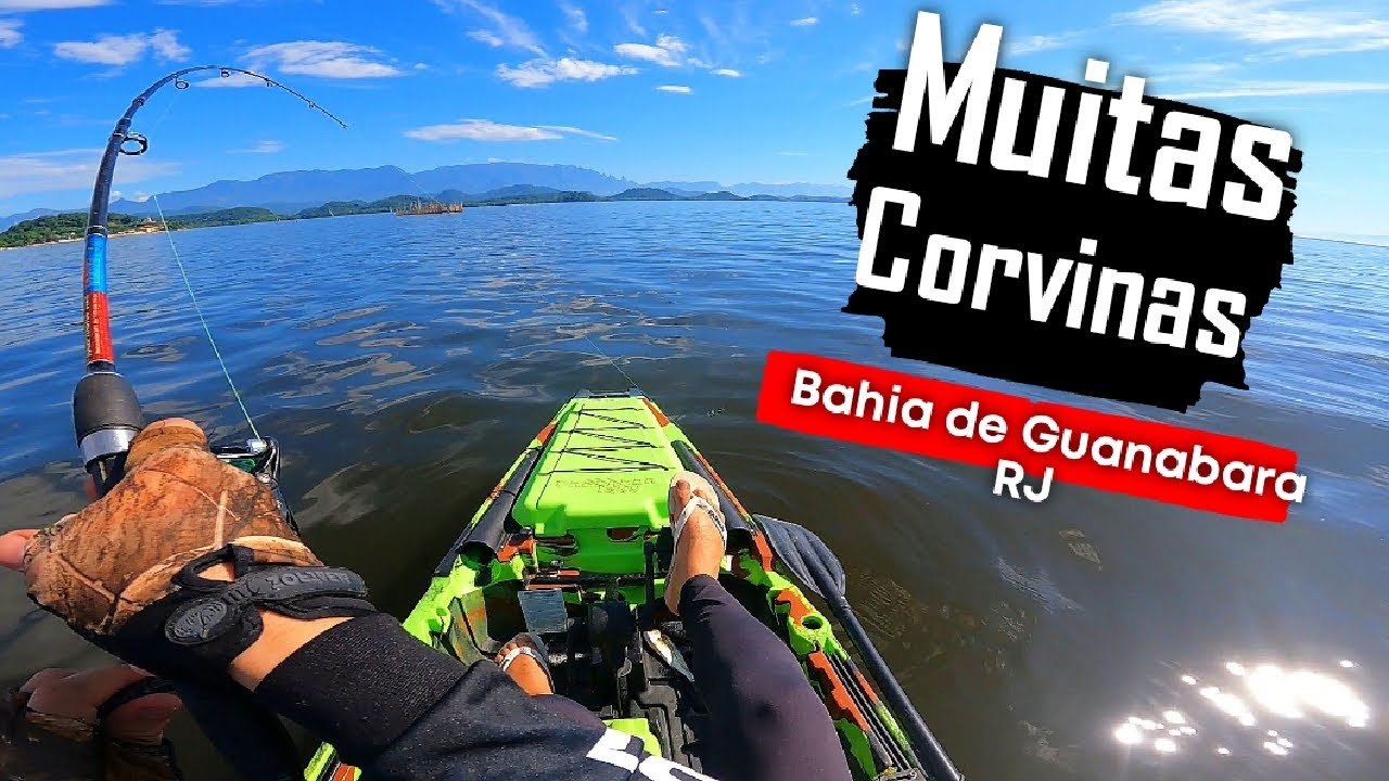 Pescaria de Corvina na Baía de Guanabara 1° de 2025 - Pescaria de Caiaque 🎣