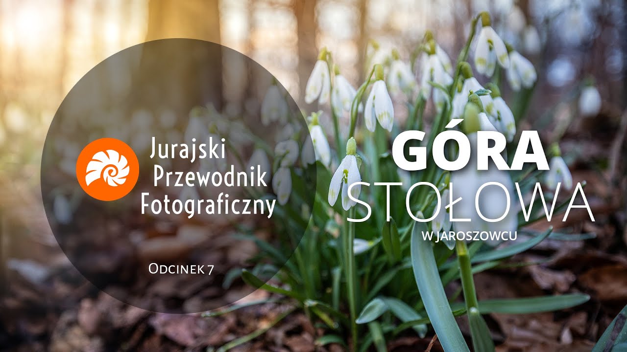 Jura Krakowsko-Częstochowska - Gdzie szukać przebiśniegów? W Jaroszowcu! - JFP -Odcinek 7