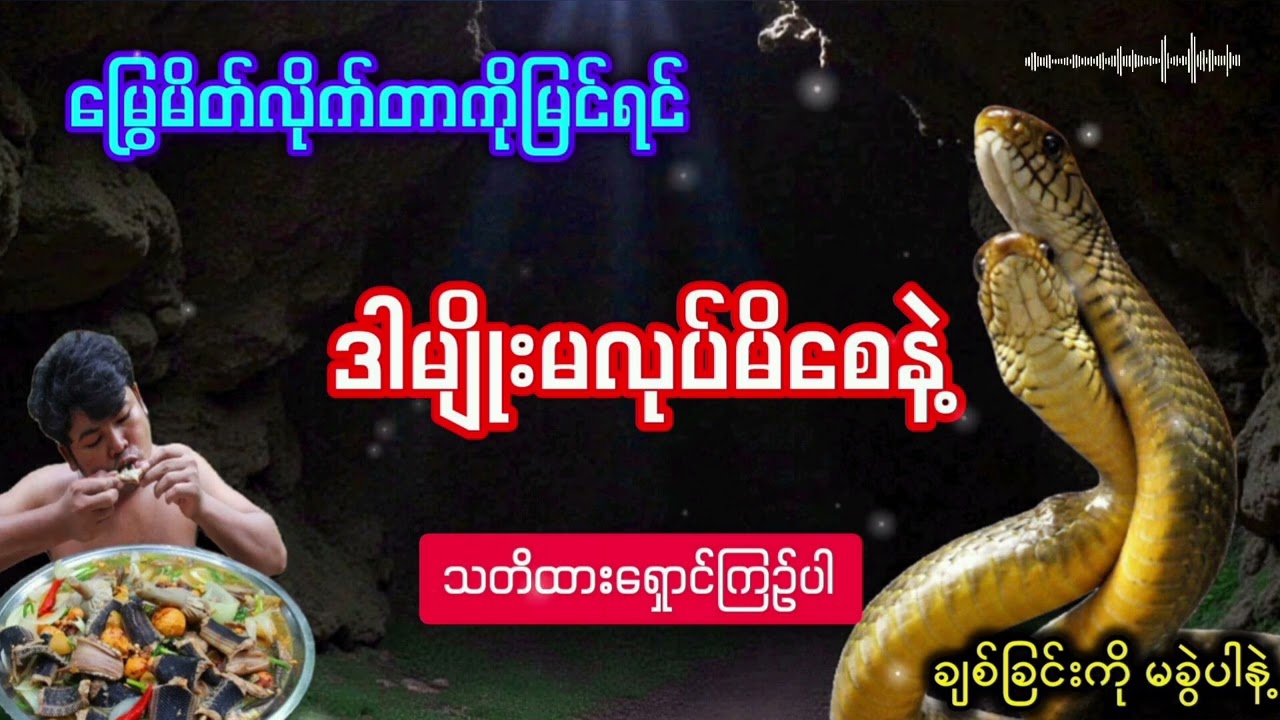 မြွေလင်မယားရဲ့ကျိန်စာ