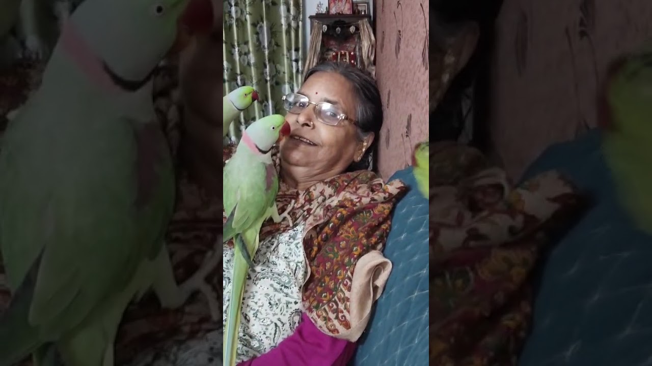 तीनों 🦜 का तांडव नानी के साथ 