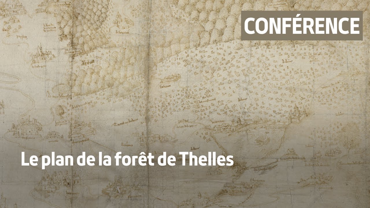 Le plan de la forêt de Thelles