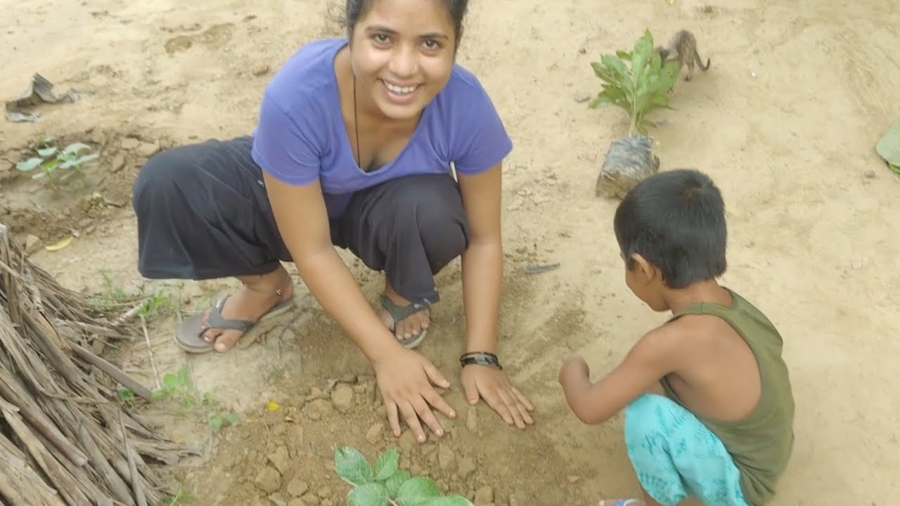 बारिश के मौसम में अगर पौधे लगाओगे कभी नहीं सुकेंगे 