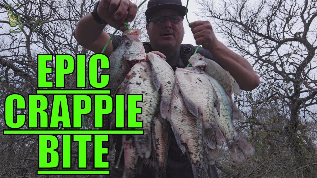 Epic Crappie Fishing at Lake Ray Roberts in March 2025!