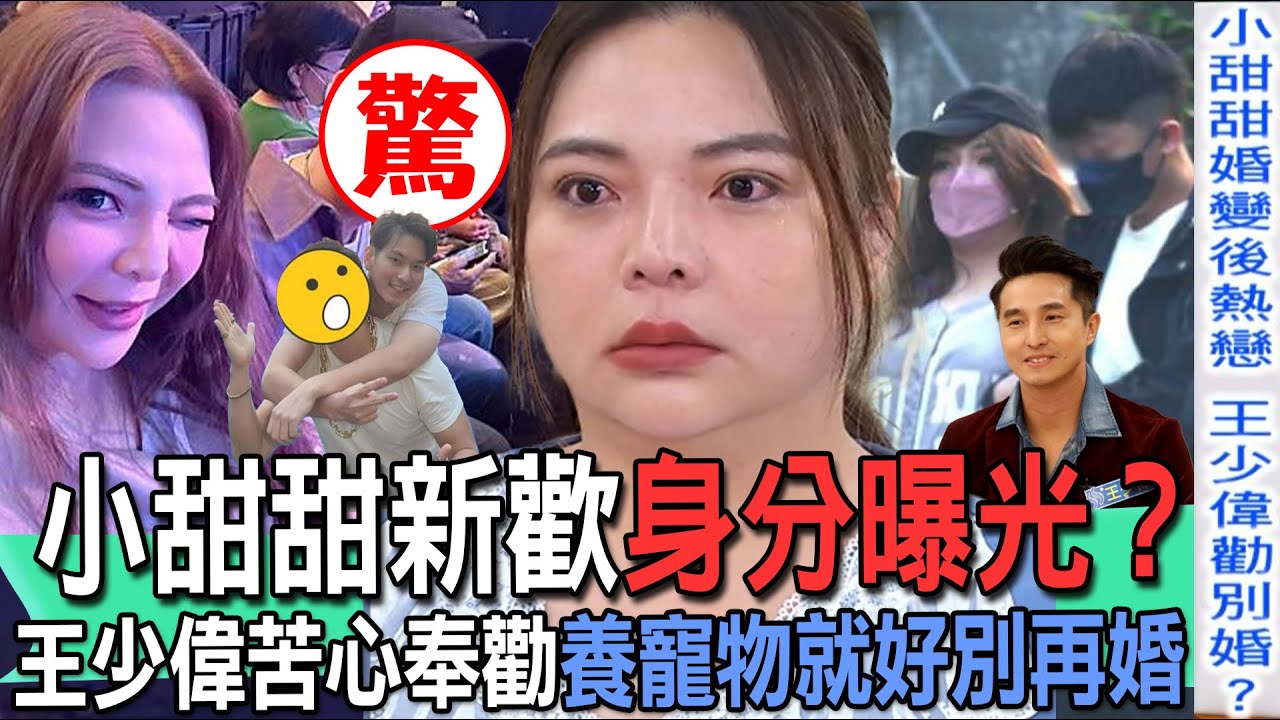 小甜甜新歡身分曝光？王少偉苦心奉勸養寵物就好別再婚【精華版】