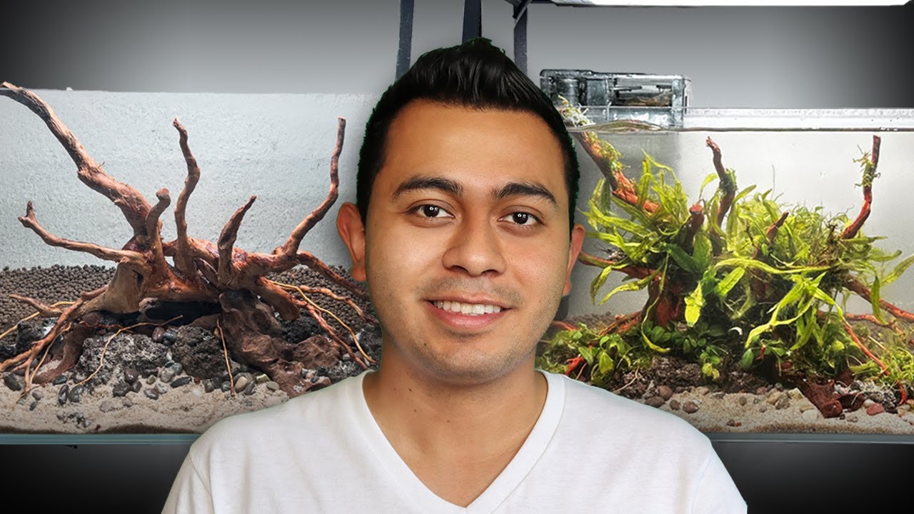 Cómo hacer un ACUARIO PLANTADO NANO  estilo NATURA | How to make a nano planted aquarium| Tutorial