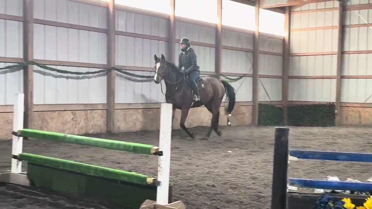 Stella