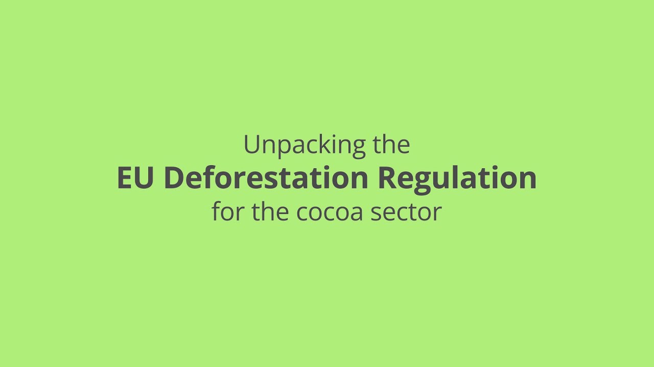 Unpacking the EU Deforestation Regulation for the cocoa sector