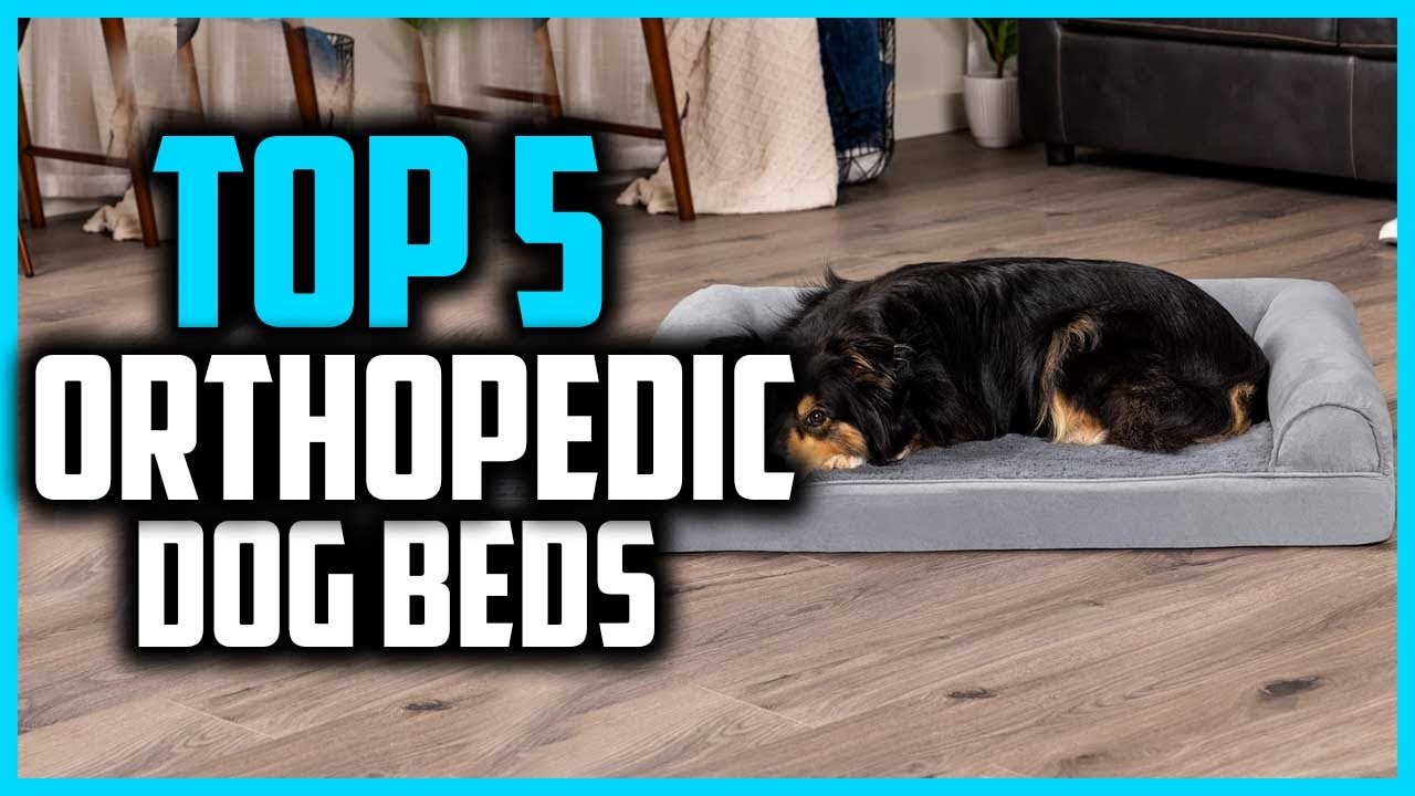 ✅Top 5 Best Orthopedic Dog Beds in 2026