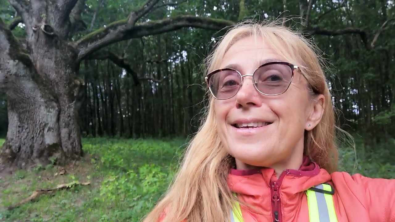 Iława i okolice i magiczny dla mnie - Jesion  wyniosły!😉  wśr&oacute;d pokrzyw wyniosłych!😉 -  Sarn&oacute;wek! !😃