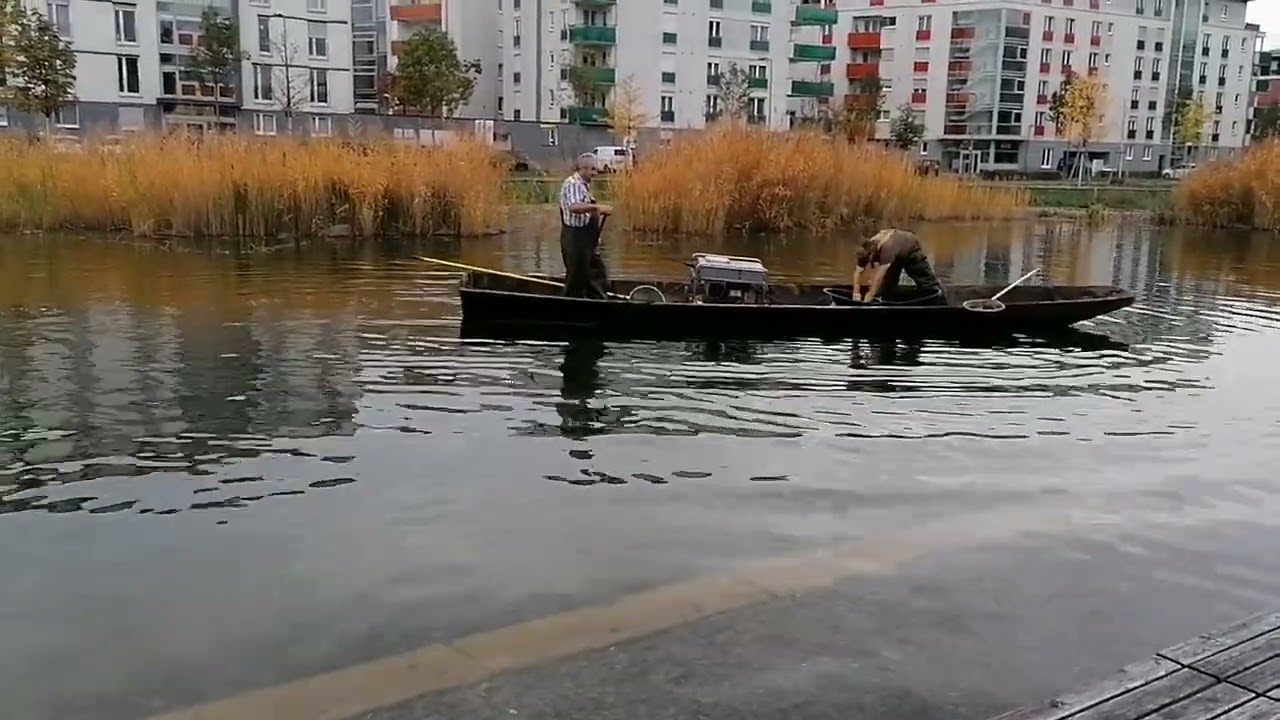 Petri Heil im Citypark  Karlsruhe 🎣🎏🐟🦈 real not AI! 