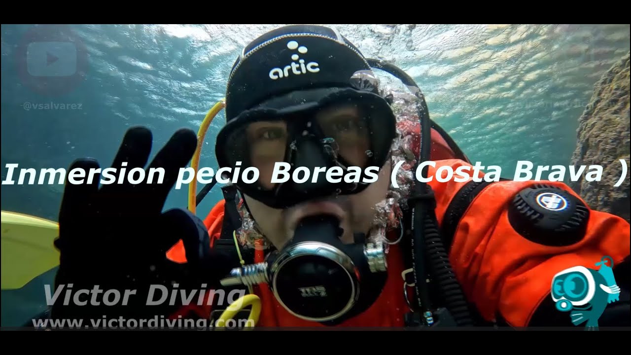 Pecio Boreas ( Catalunya - Spain )