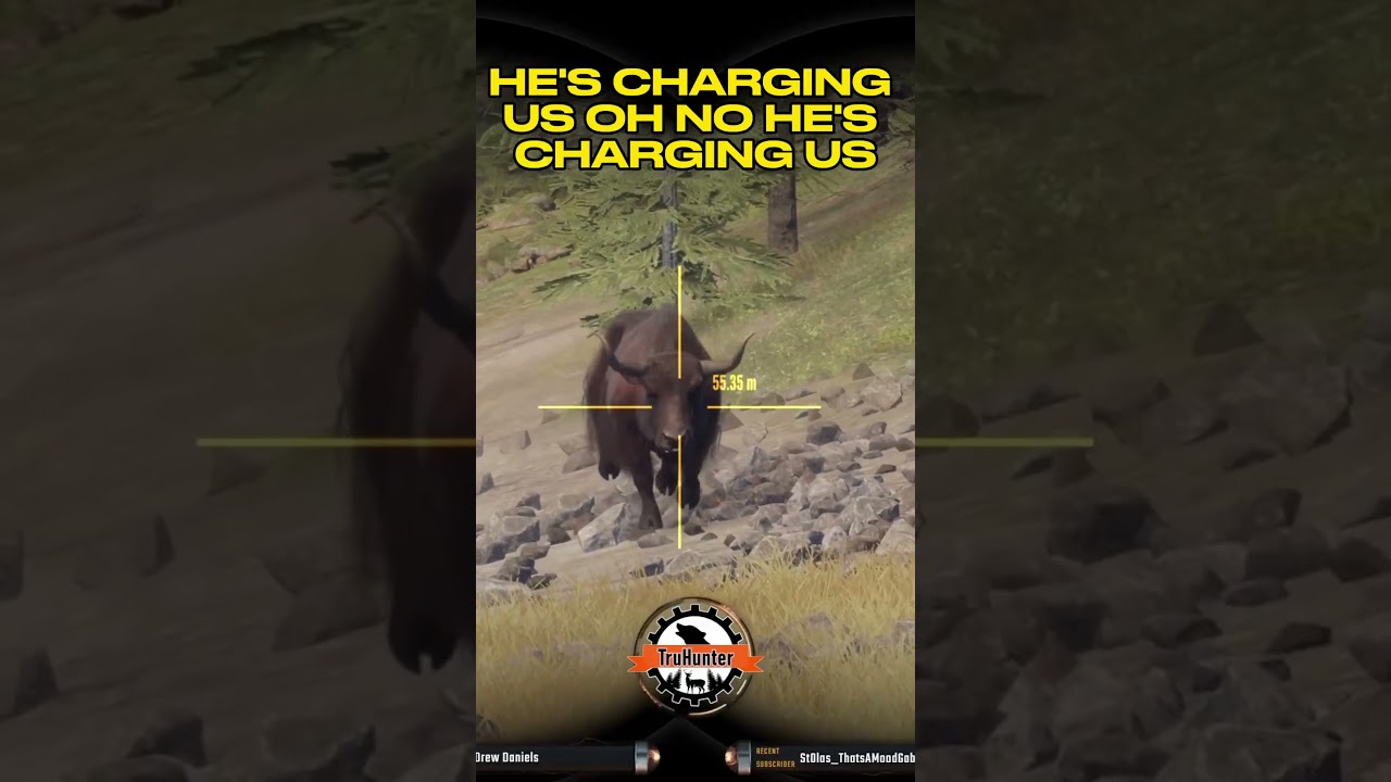 💎Charged by 9 LEGENDARY YAK on Sundarpatan🤣