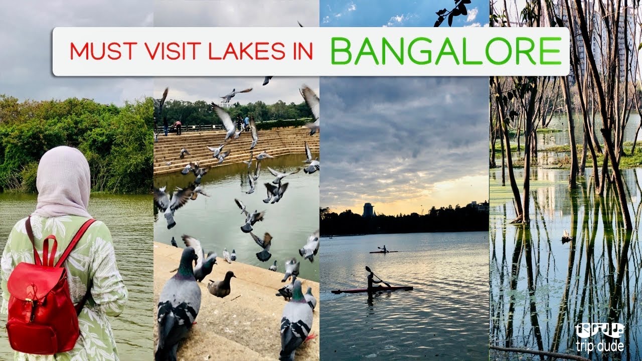 😳Best 20 Beautiful Lakes in Bangalore 💚 Namma Bengaluru #karnataka #lake #bangalore