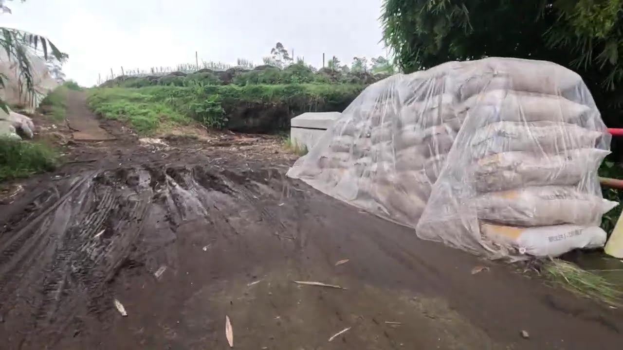 Ruas Jalan Batursari - Clekatakan Laporan Triwulan I Tahun 2026