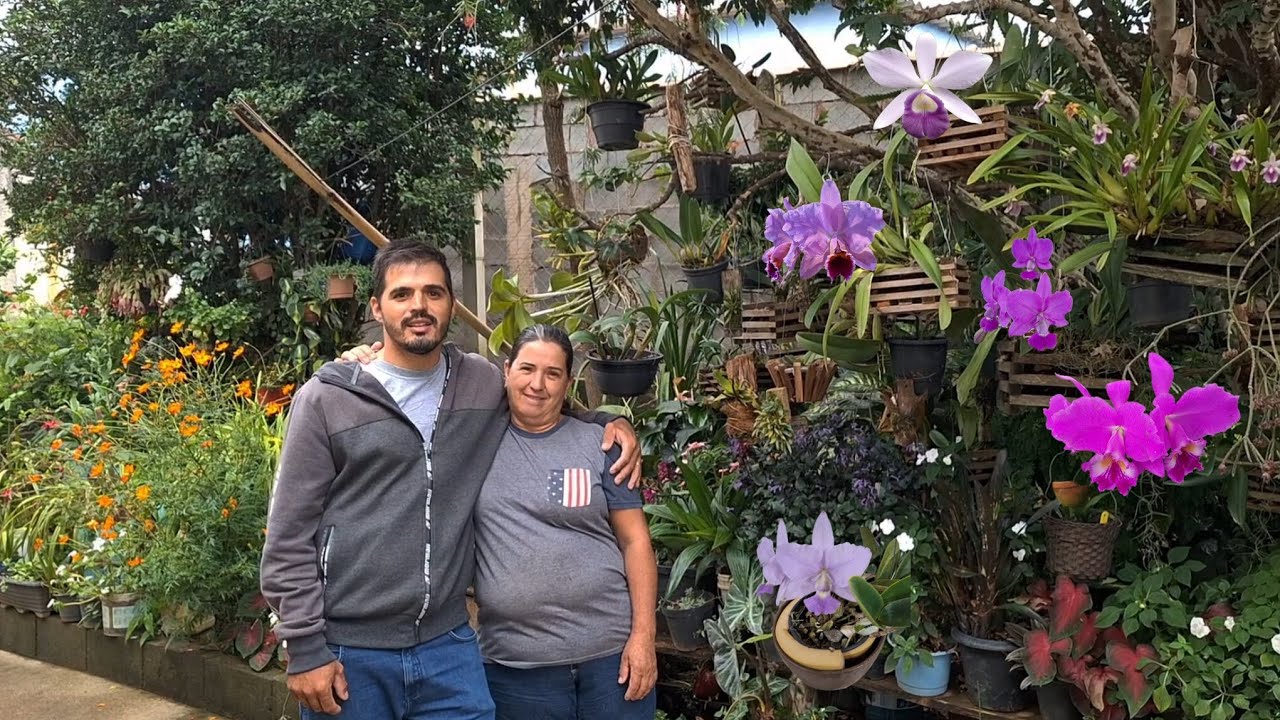 Uma floresta no centro da cidade