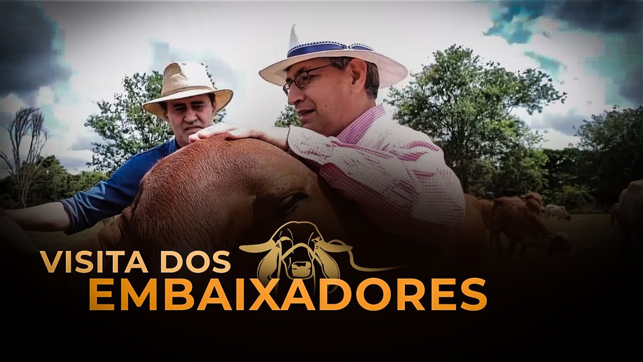 ESTÂNCIA TAMBURIL - Visita dos EMBAIXADORES!