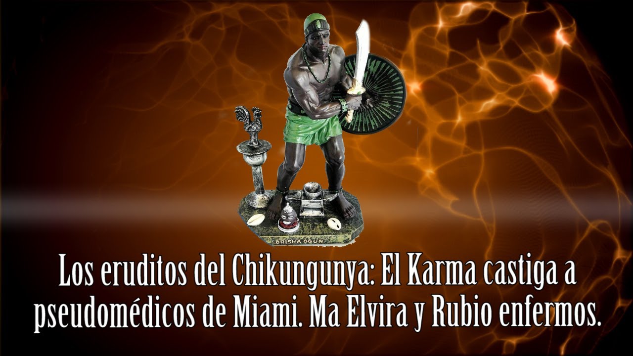 Los eruditos del Chikungunya- El Karma castiga a pseudomédicos de Miami. Ma Elvira y Rubio enfermos.