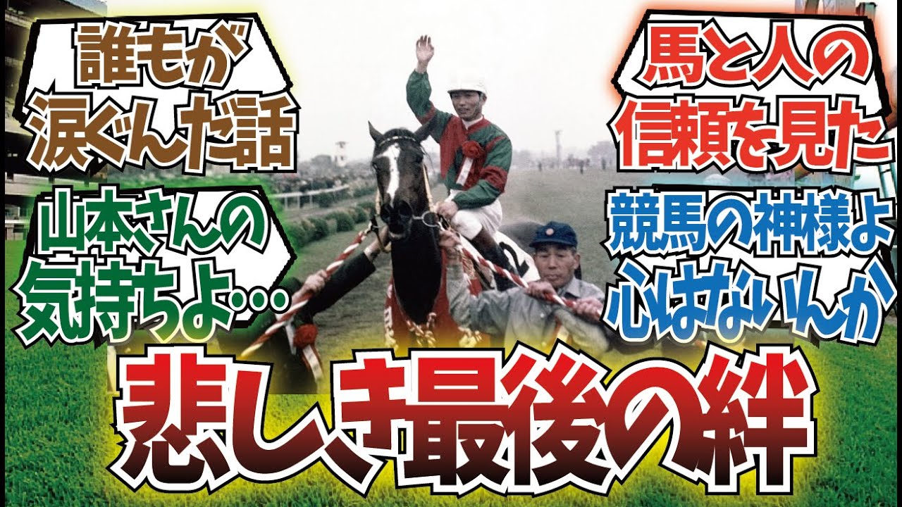 「この馬を知るだけで大号泣してしまう」に対するみんなの反応集