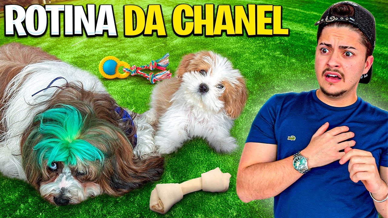 ROTINA 24 HORAS DA CHANEL, TUDO O QUE ELA FAZ!