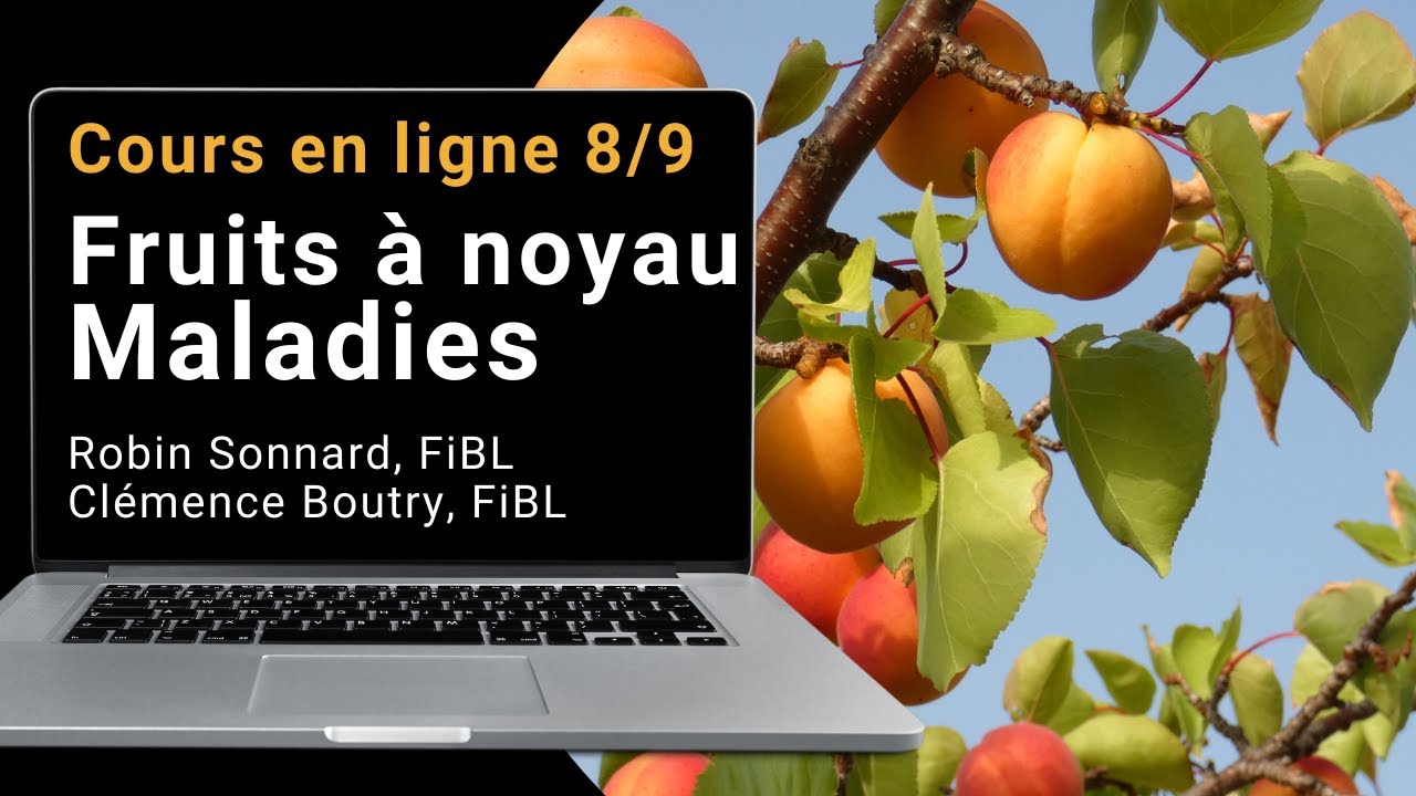 Cours en ligne 8/9 BIOFRUITNET:  Fruits à noyau  maladies