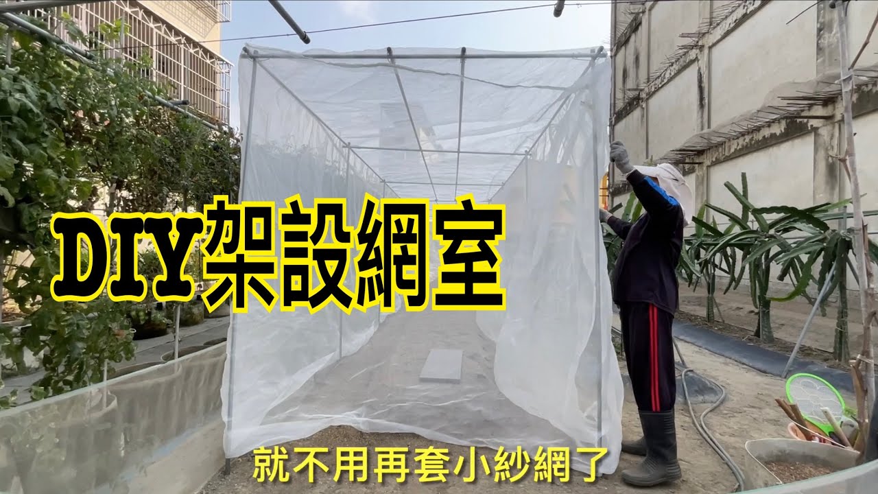 【休閒小菜園】DIY架設網室！節省很多的費用，可以種植甜瓜葉菜類等！