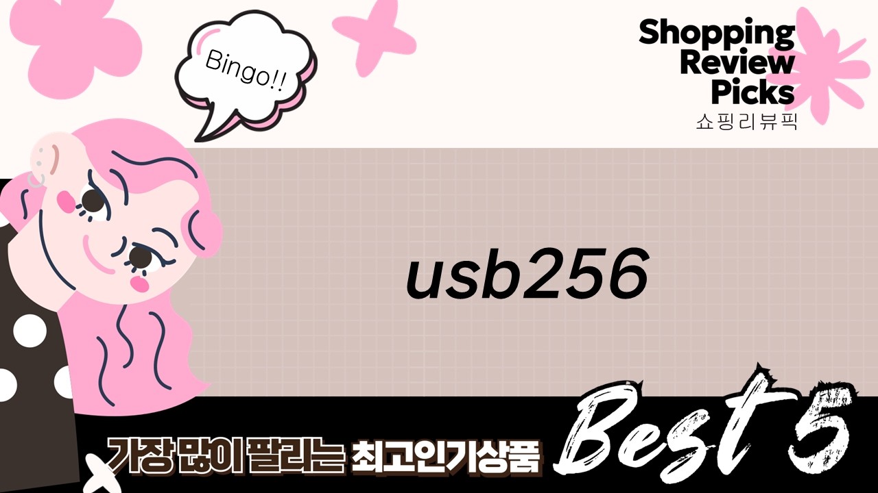 USB 256GB 총정리! 샌디스크 vs 하이크비전 속도 비교