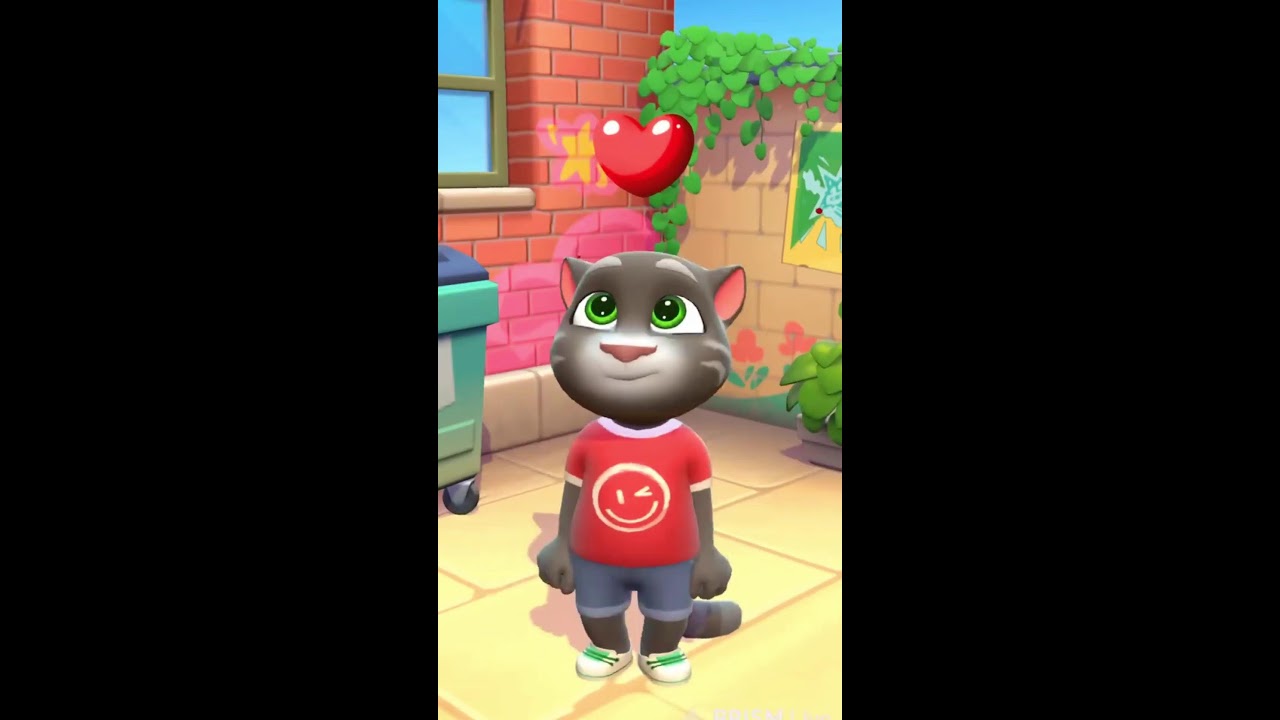 talking tom live fun