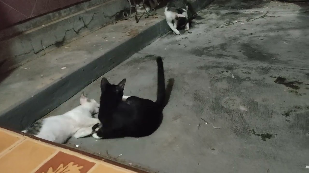 Bocil Main2 dulu sebelum bobo'
