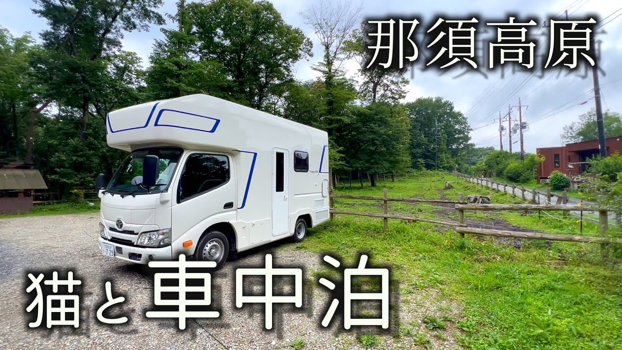 【猫とキャンピングカーで車中泊】那須高原で美味しいランチと道の駅で車中泊
