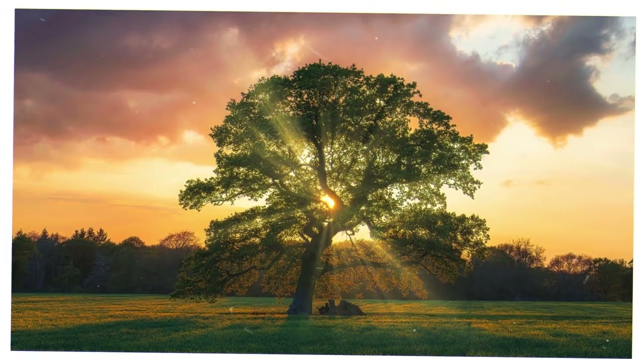 «Чучело своё я дома оставил!» — громко заявил муж на юбилее фирмы…и вошёл в зал… не один.