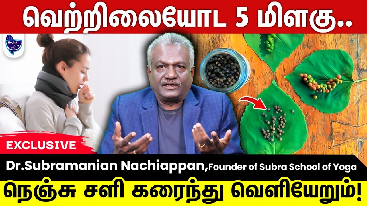 நெஞ்சு சளி, ஆஸ்துமா, இருமலை சரிசெய்யும் வெற்றிலை மருத்துவம் !