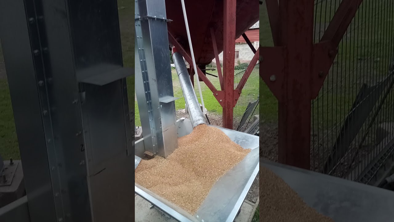 Podajnik do zboża 50t/h  PUH"GRUPA MACHAJ''