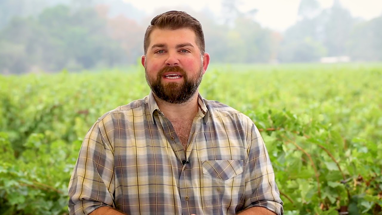 Belle Glos -  Las Alturas Pinot Noir