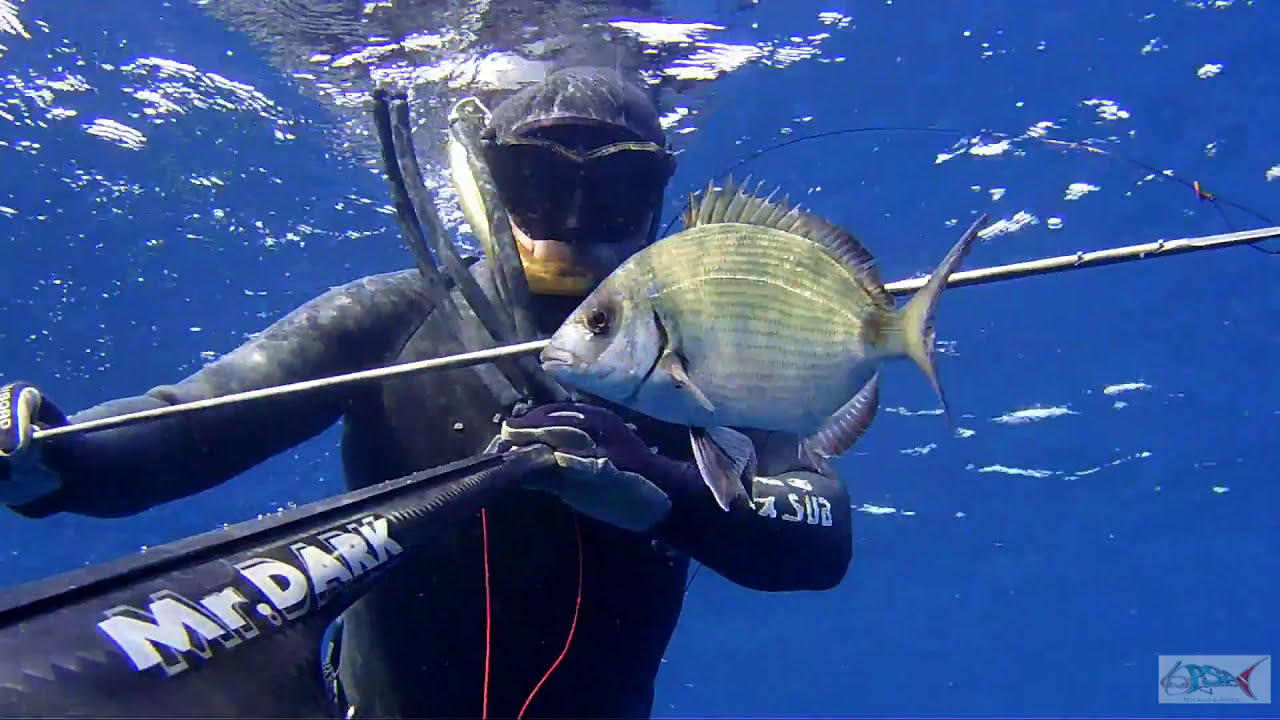 pescasub | Arbalete C4 Mr. Dark 104 - Prova in mare Agguato e Aspetto