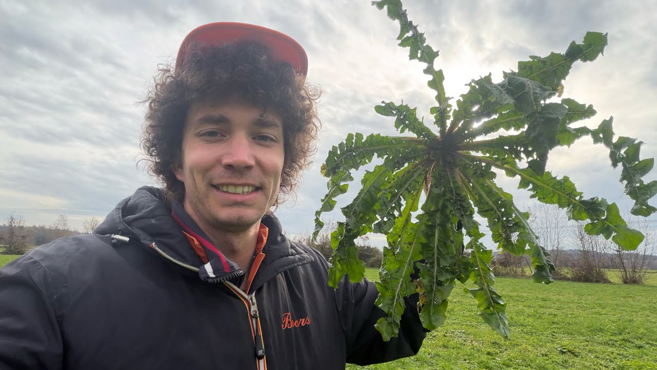 Abbiamo Raccolto l'Erba dal Campo per Mangiarla