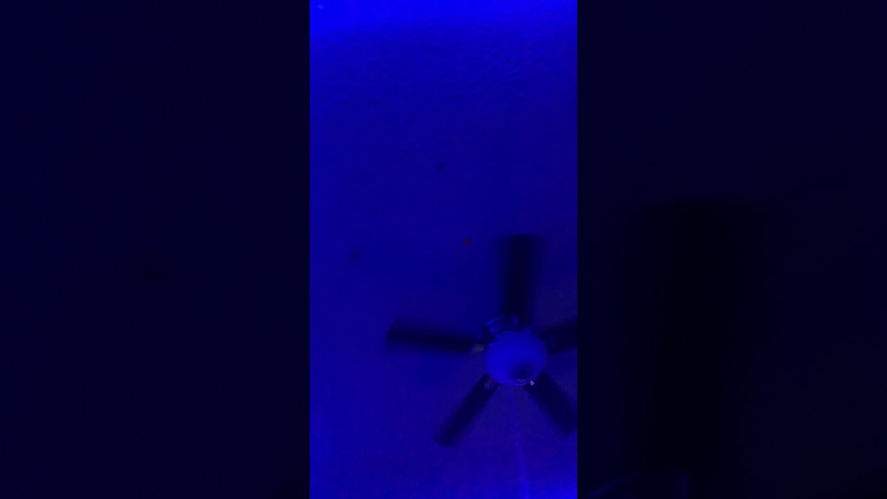 Hollup pullup instrumental (sped up)