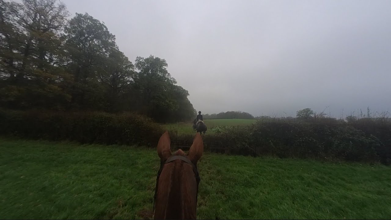 Haggis out with the Ledbury jumping hedges and galloping over fields