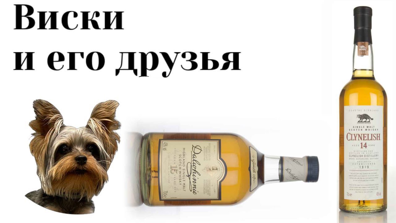Сравнение Clynlish 14 против Dalwhinnie 15