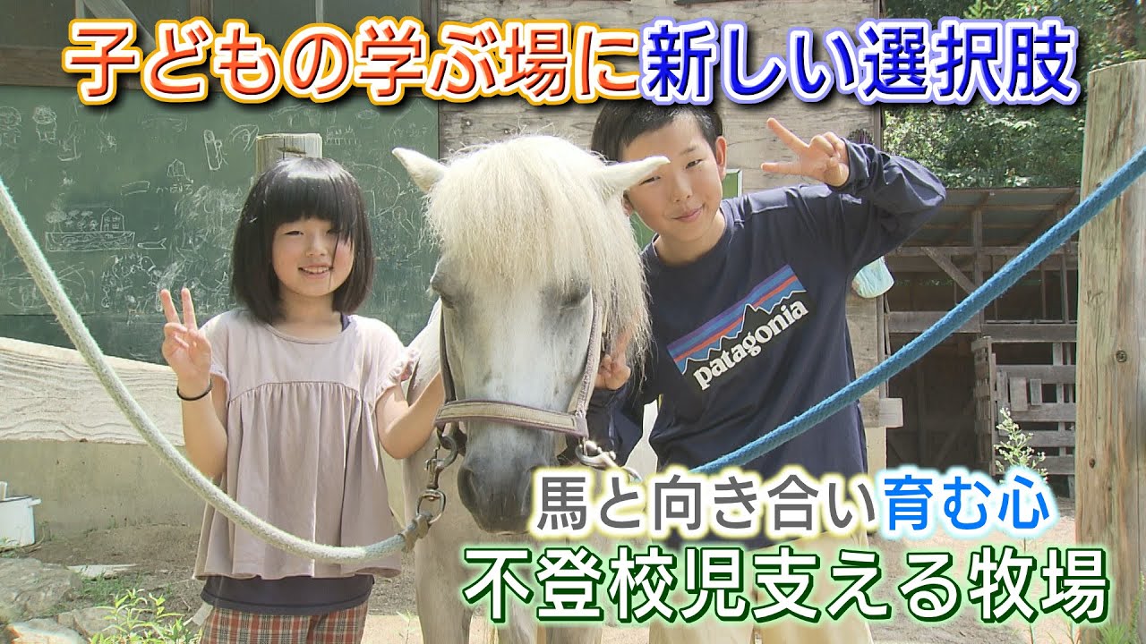 【不登校児支える牧場】馬と向き合い育む心（2024年8月29日abnステーションあのね）