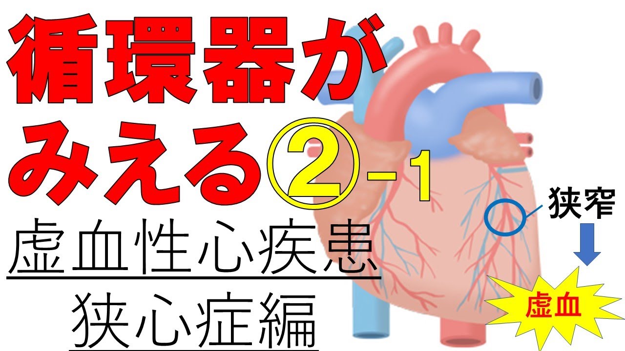 【狭心症】虚血性心疾患①　狭心症の種類と治療薬　医療系学生必見！