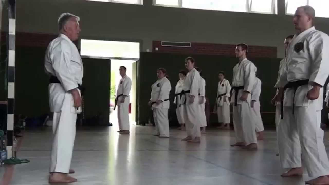Sensei Denis Casey (8th Dan) teaching Seipai Kata & Bunkai