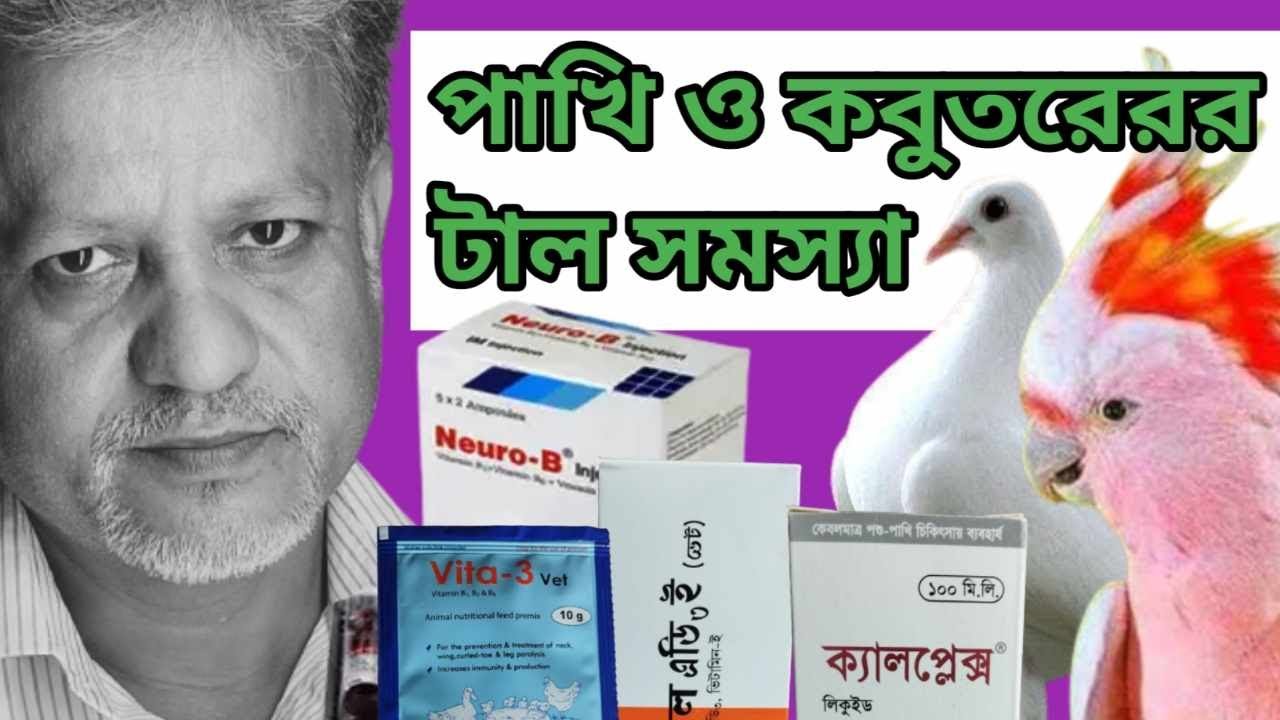 কবুতরের ও পাখির টাল রোগের সমাধান ও চিকিৎসা I Pigeon & Bird Neck Disease Tratment I Tall Rog I